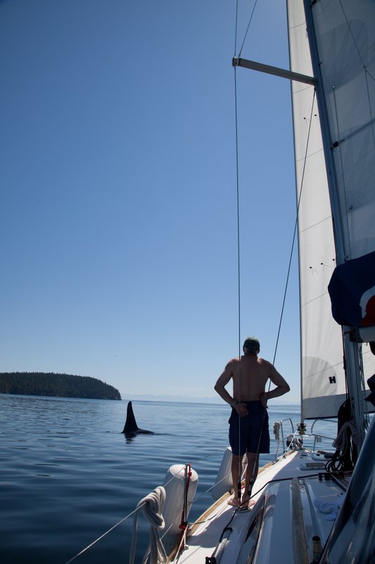 Whale watching.jpg