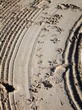 Patterns in the sand.jpg