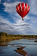 Scattered Balloons.jpg