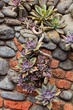 20111028_0698.jpg