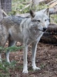 20110813_1024.jpg