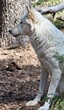 20110813_1033.jpg