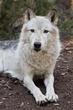 20110813_1107.jpg