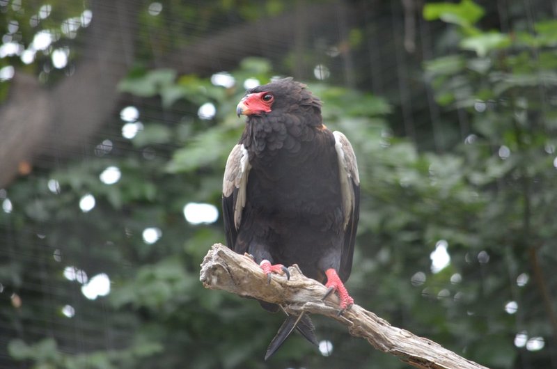 DSC_0177.jpg