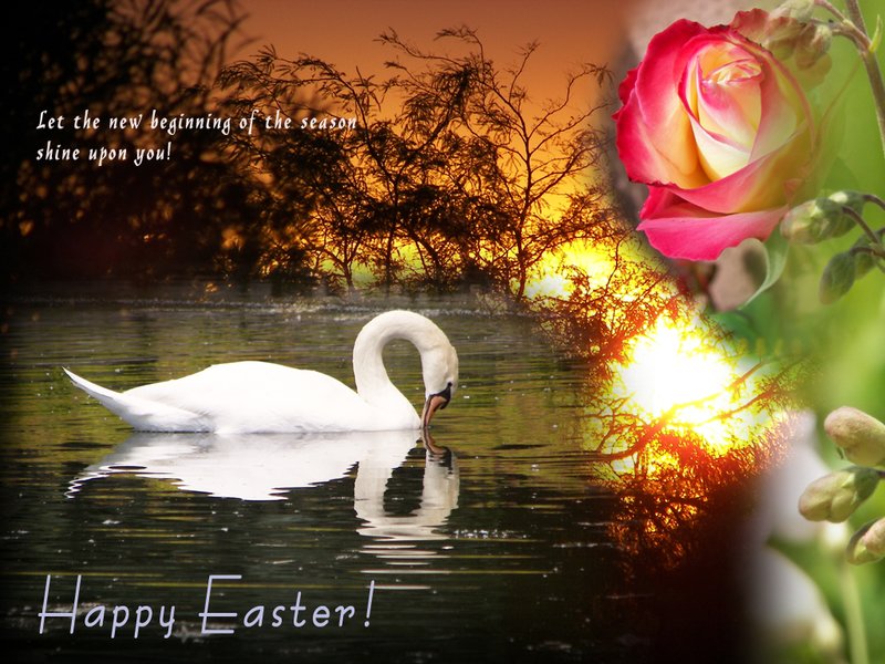 Easter Card - 2011.jpg