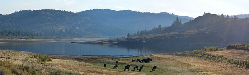 Frenchmans Lake.jpg