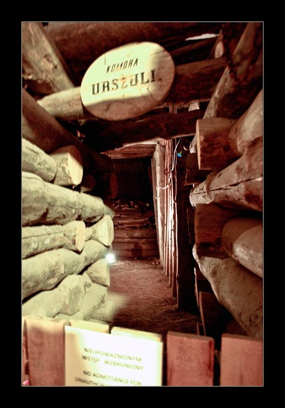 Mine shaft 01.jpg ::  During World War II, the shafts were used by the occupying Germans as an ad-hoc facility for various war-related industries.