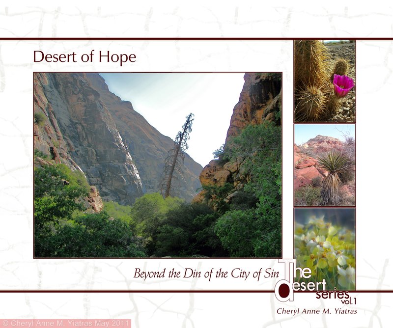 The Desert of Hope Coverv4.jpg :: Photography book series - vol. 1