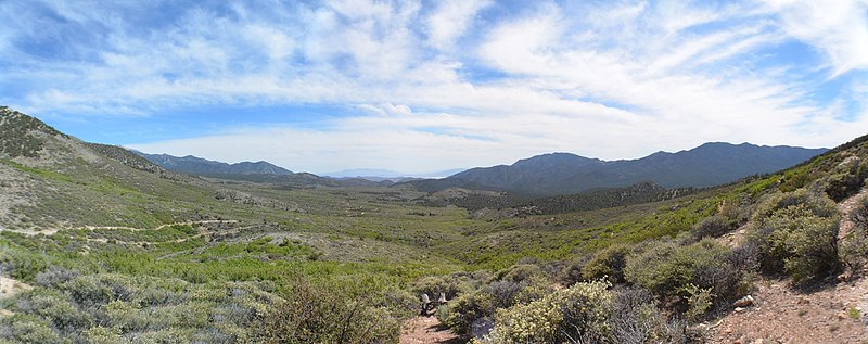 Wheeler-Pass-Pan-04.jpg