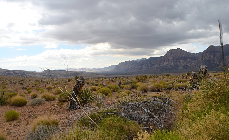 Wilson-RIdge-Red-Rock-Scenic-Loop-08.jpg