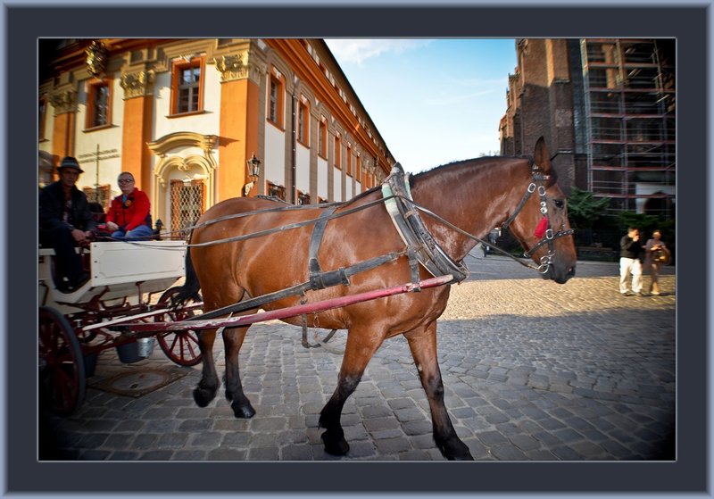 Wroclaw Streets 56..jpg