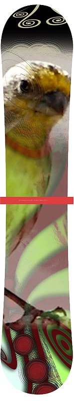 birdseye snowboard design by Cherylanne M. Yiatras watermark copyright 2011.jpg