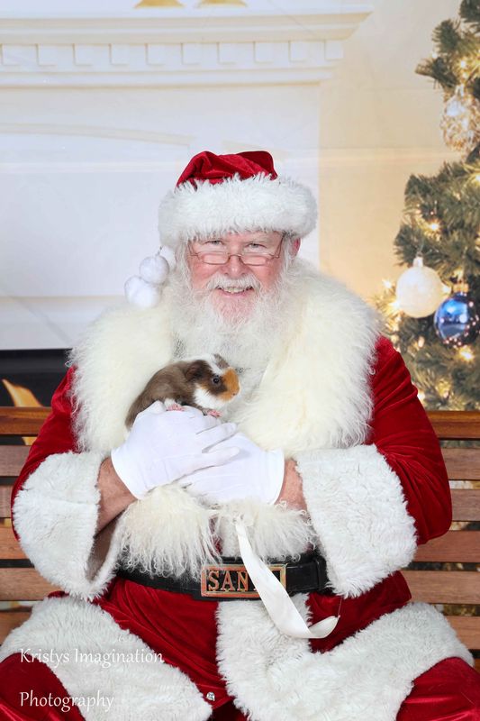 XmasCC2015-100.jpg