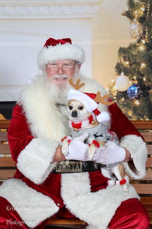 XmasCC2015-101.jpg