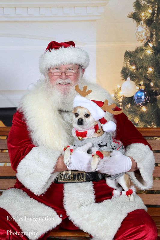 XmasCC2015-102.jpg