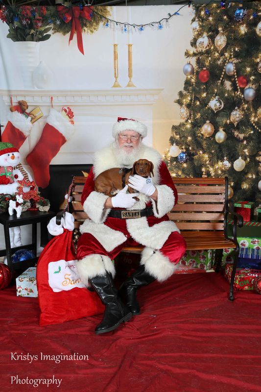 XmasCC2015-108.jpg