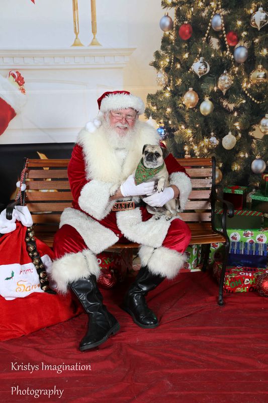XmasCC2015-116.jpg