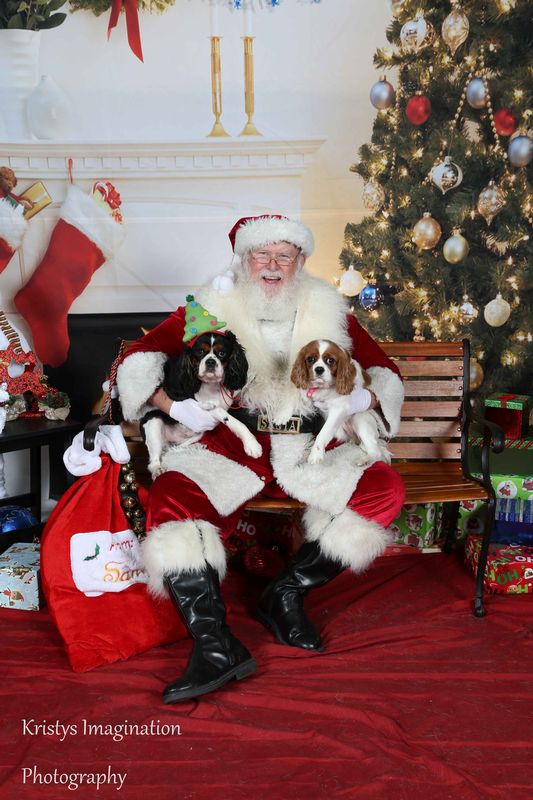 XmasCC2015-120.jpg