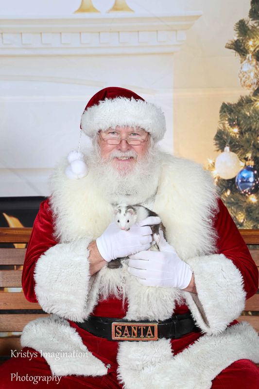 XmasCC2015-127.jpg