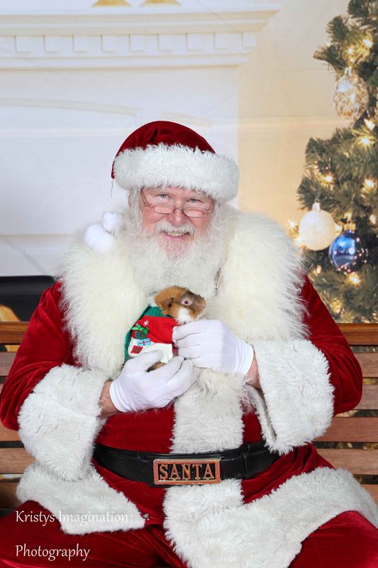 XmasCC2015-129.jpg