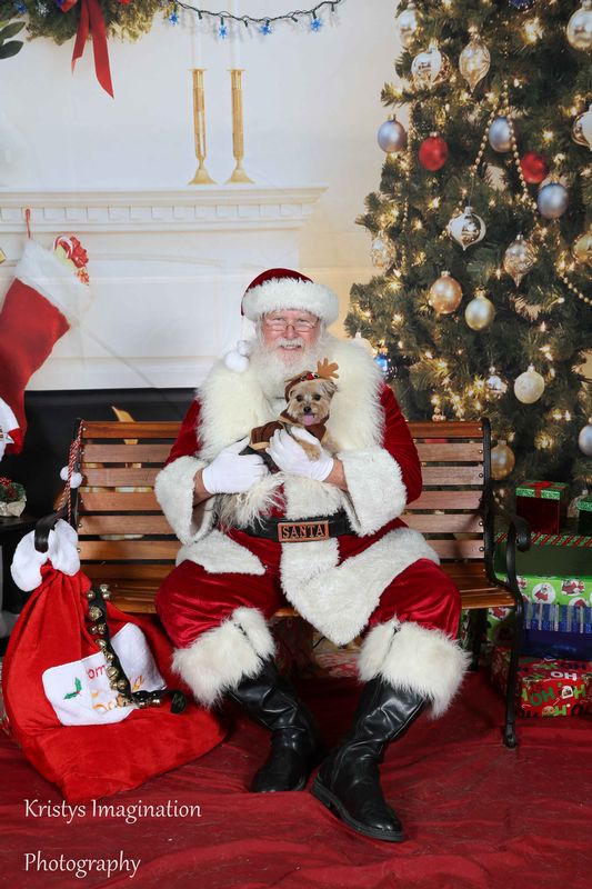 XmasCC2015-136.jpg