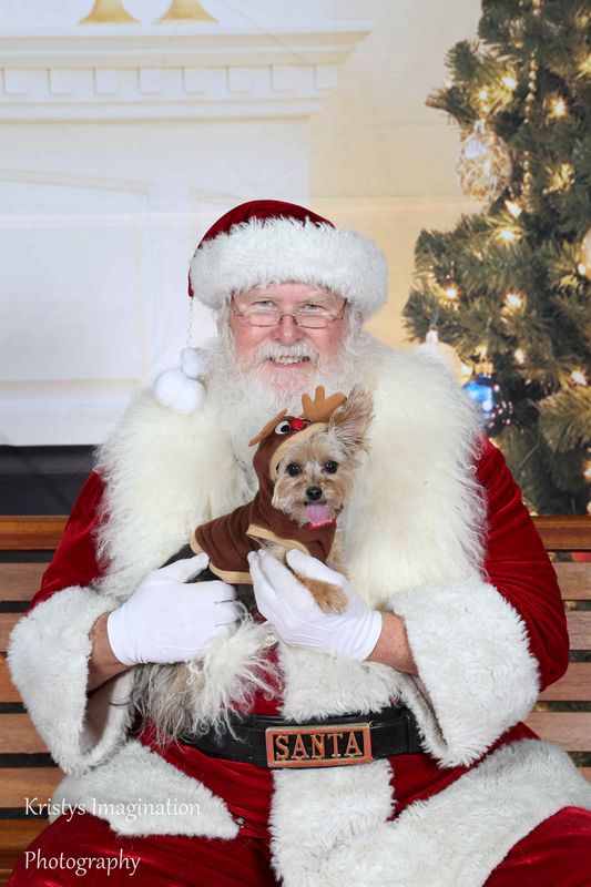 XmasCC2015-137.jpg