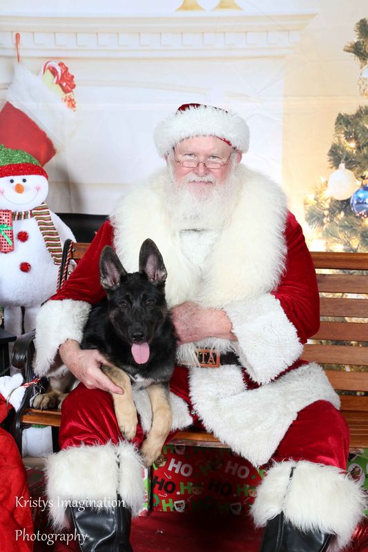 XmasCC2015-14.jpg