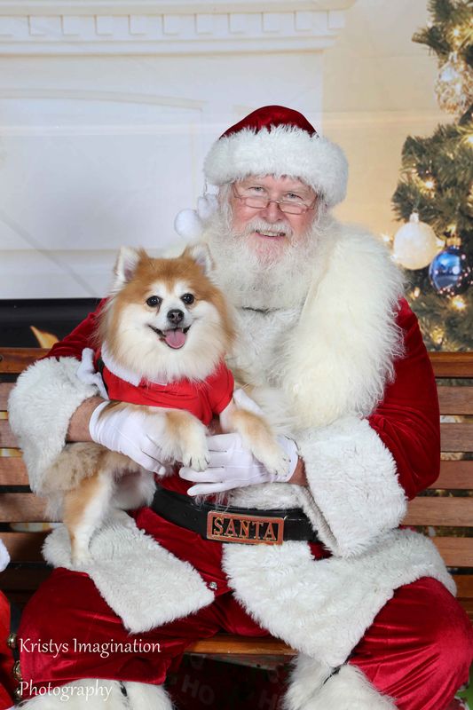XmasCC2015-151.jpg
