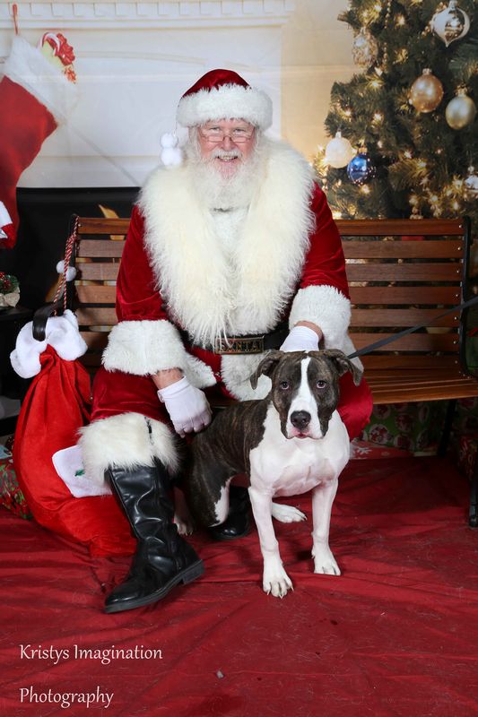 XmasCC2015-152.jpg