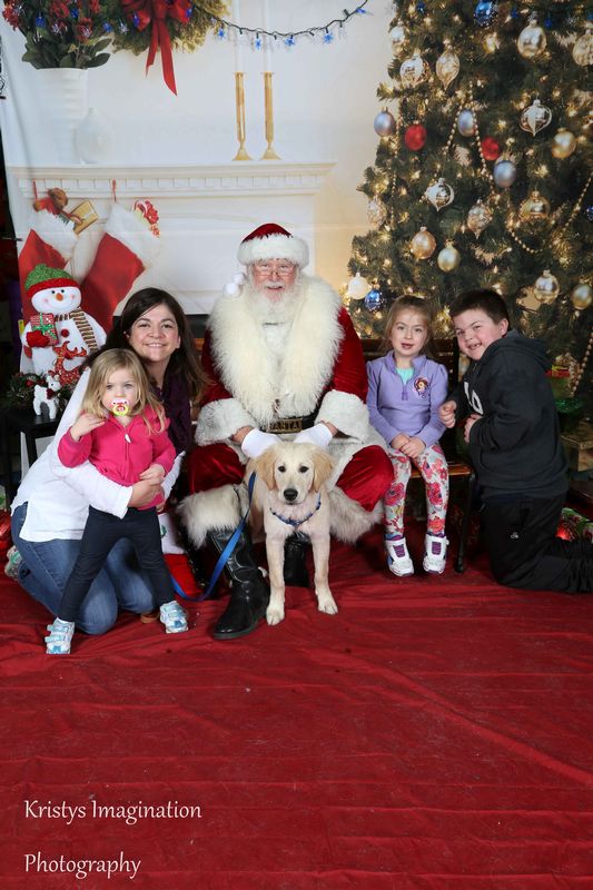 XmasCC2015-153.jpg
