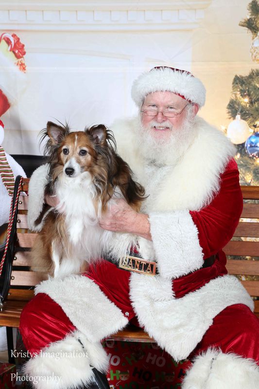 XmasCC2015-16.jpg