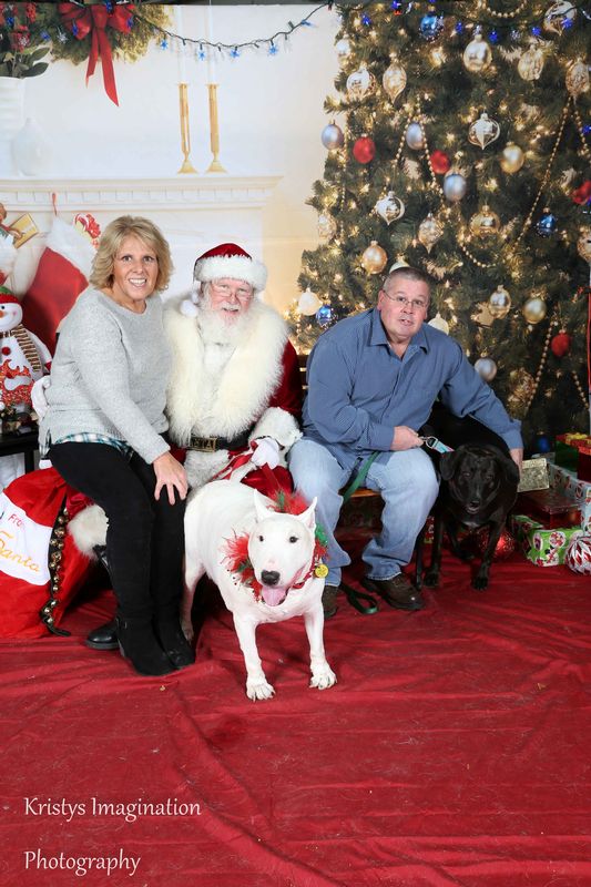 XmasCC2015-167.jpg