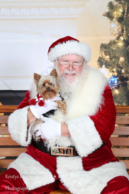 XmasCC2015-169.jpg