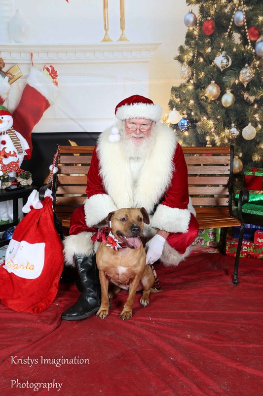 XmasCC2015-171.jpg