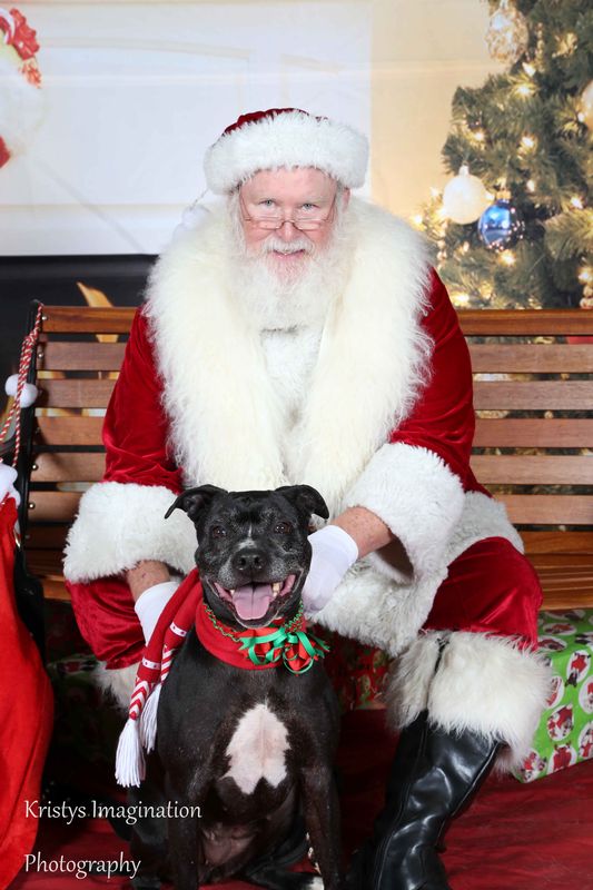 XmasCC2015-176.jpg