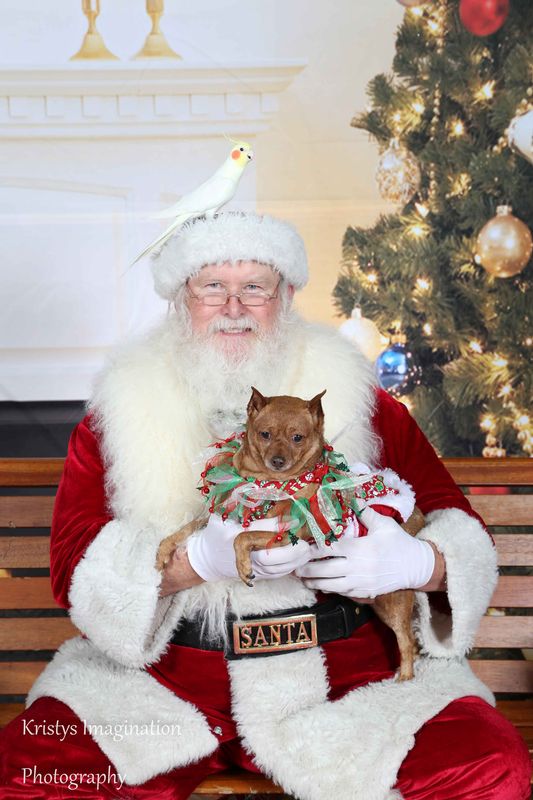 XmasCC2015-179.jpg