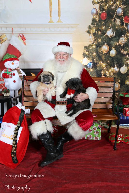 XmasCC2015-184.jpg