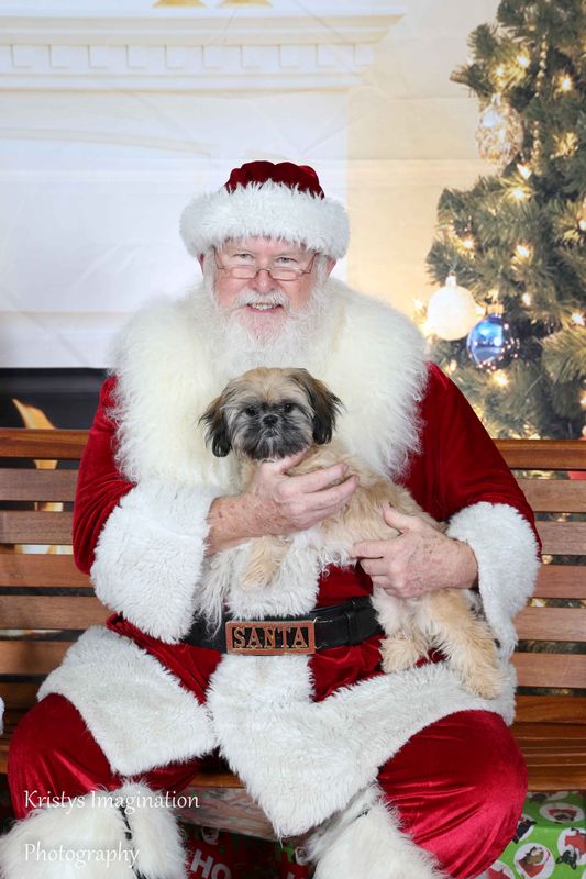 XmasCC2015-185.jpg