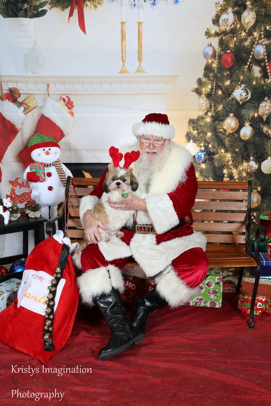XmasCC2015-186.jpg