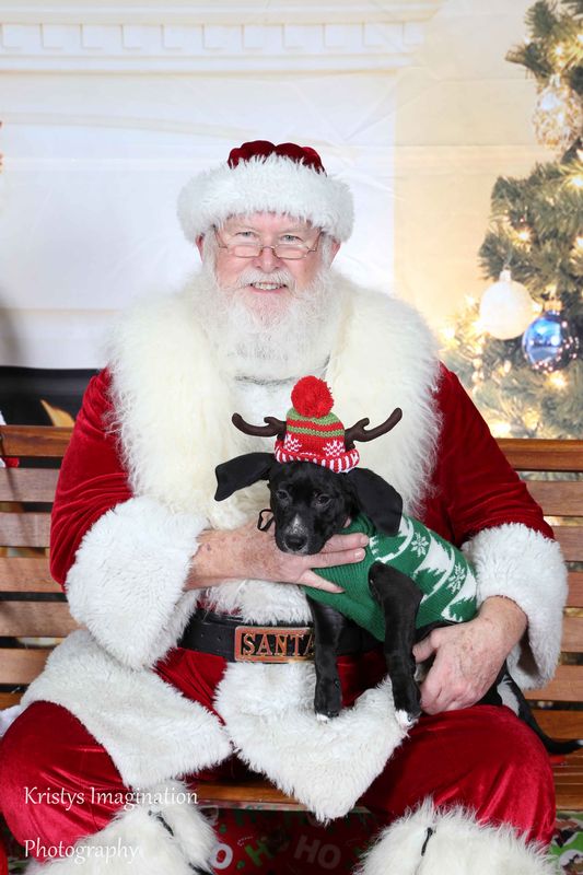 XmasCC2015-188.jpg