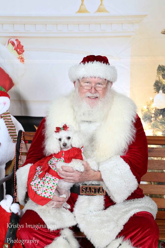 XmasCC2015-190.jpg