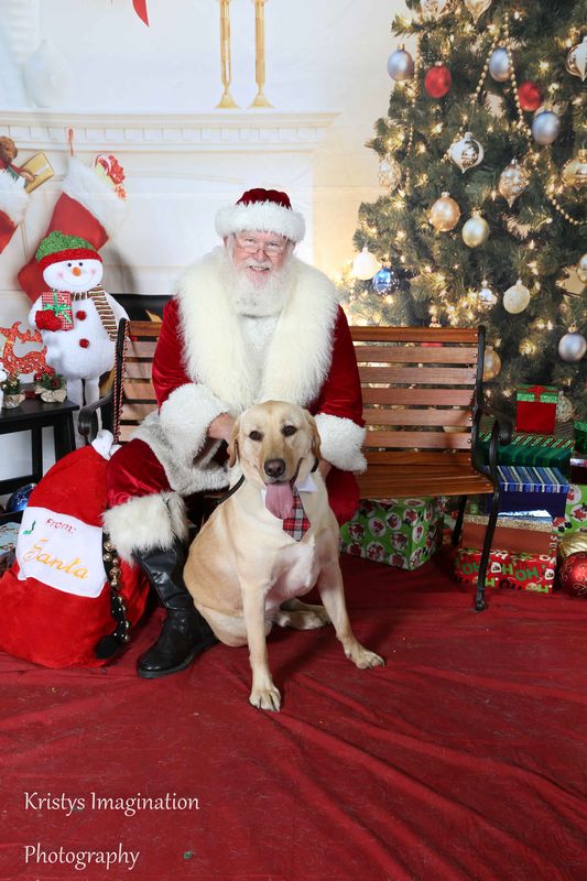 XmasCC2015-197.jpg