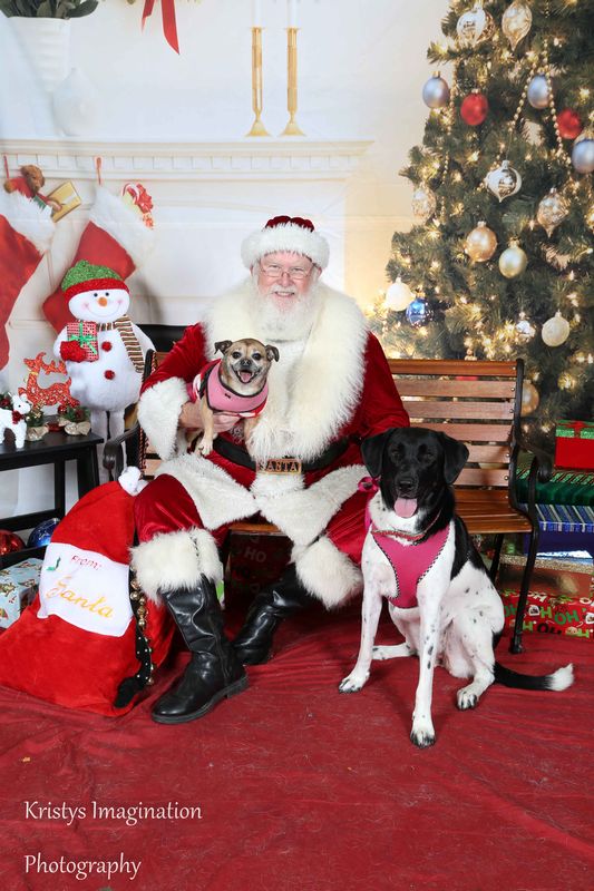 XmasCC2015-198.jpg