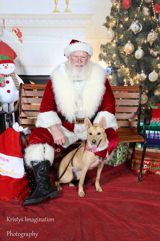 XmasCC2015-2.jpg