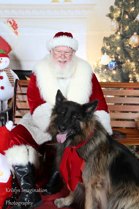 XmasCC2015-204.jpg