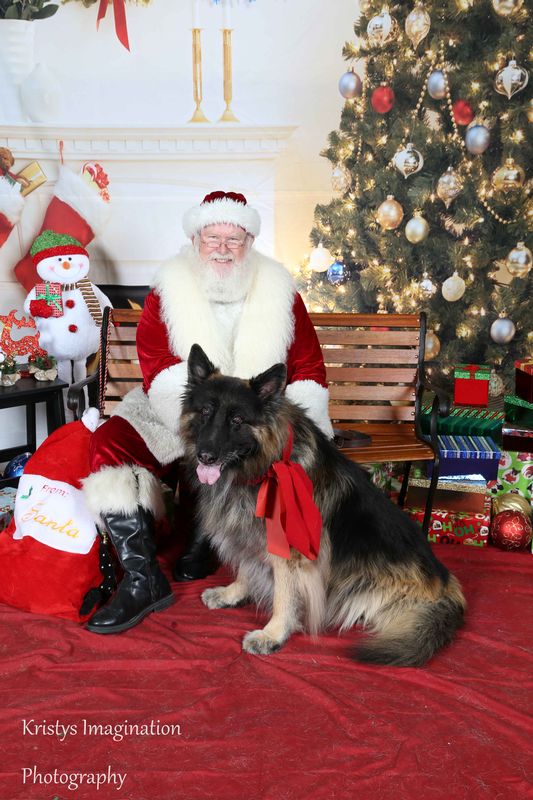 XmasCC2015-205.jpg