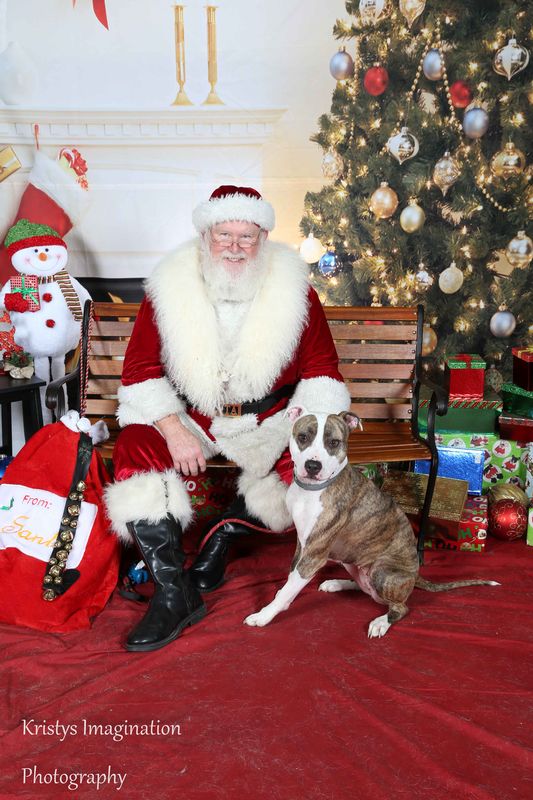 XmasCC2015-218.jpg