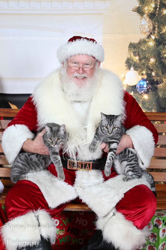 XmasCC2015-228.jpg