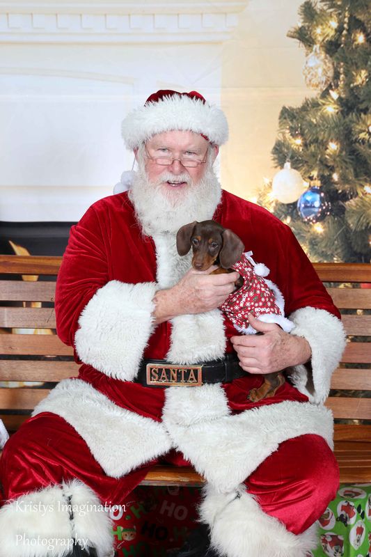XmasCC2015-231.jpg
