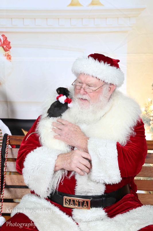 XmasCC2015-234.jpg
